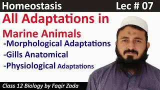 Adaptation characters of Marine animals || Homeostasis || lecture 07 || chemistryring ||