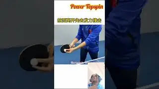 Power Topspin Tutorial.