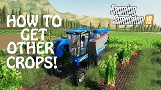 HOW TO GET DIFFERENT CROPS in Farming Simulator 2019 | GETTING GRAPES | PS4 | Xbox One | PC