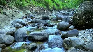 Relaxing Water Flow for Inner Stillness