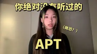 APT，但是暗黑版