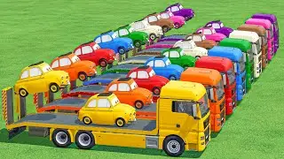 Work With COLORS ! Small Cars vs Big MAN Trucks Of Colors In Fs22 | Farming Simulator 22