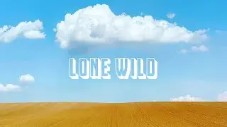 [Playlist] Lone Wild - Passionate Indie Pop
