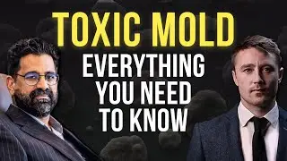1 in 5 People Affected? Doctor Answers Most Important Questions on Mold Toxicity