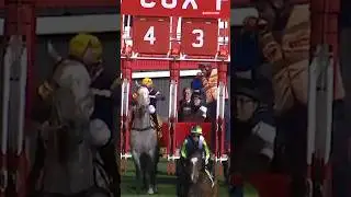 Do you remember when Chautauqua never left the barriers in an official trial at The Valley? 😮