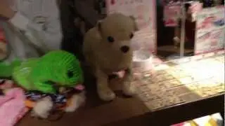 Dog outfits, costume sizing, Pets Paradise, Shinjuku, Tokyo