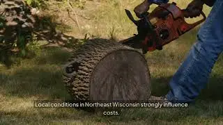 How much does a tree company charge per hour in Green Bay? Hardy Wood Products