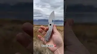 Oz Roosevelt GP Zircuti kit 🔥📸 #knivescommunity #edc #blades #unboxing