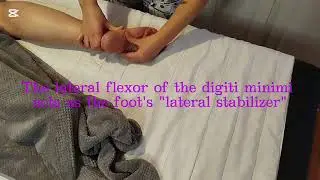 Relaxing Leg, Calf & Sole Massage | Ultimate Foot & Leg Relief