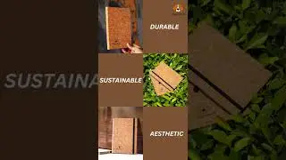 Cork Diary - Unleashing Your Creativity in a Sustainable Journaling Experience!