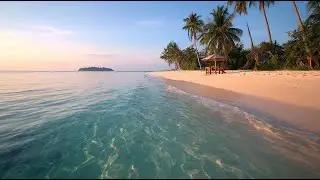 Morning Healing Music 🌅 Sunrise at the Beach | Positive & Refreshing Start