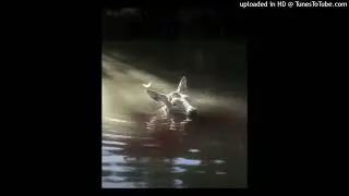 (Ambient) Kankan, Destroy Lonely, Yung Lean Type Beat 