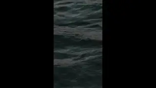 World Oceans Day