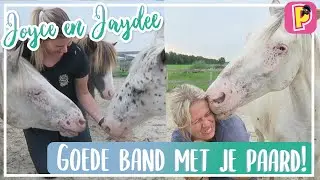 Goede band met je paard! | J&J |  PennyTV