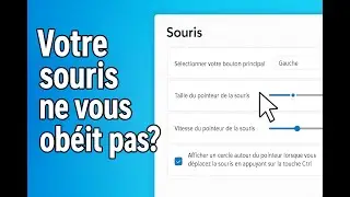 Mouse Settings in Windows 11
