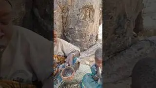 Breakfast under tree in forest #food #reels #viral #shorts #usa #brasil #mexico #uk #germany #italy