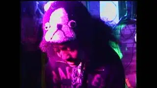 Daisy at The Cellar 11/29/25