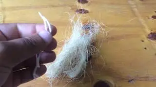 Ninhos para Mandarins e quais materiais fornecer. parte1/2. - Video Nº 2