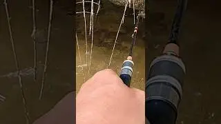 Mancing Celah Batu Sungai #fishing #fish #river #rod #nature #fyp #shorts