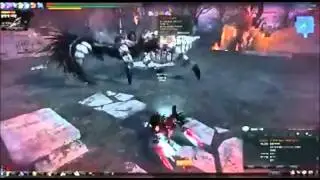 Spear lann Solo Weeping Queen OLD