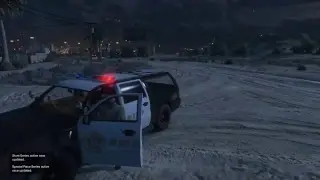 Grand Theft Auto 5: Special Unit Division