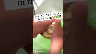 Bruno Madrigal Lush Bath Cocktail 💚🫧🛁