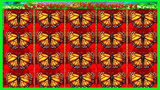 ★★JACKPOT HANDPAY★★$500 BETS★★GRAND MONARCH HIGH LIMIT SLOT MACHINE BUENO DINERO MUSEUM SLOTS IGT