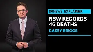 Casey Briggs analysis: NSW records deadliest day of pandemic | ABC News