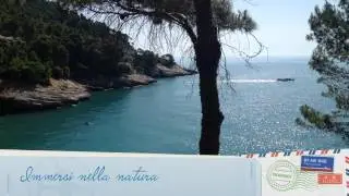 Pugnochiuso 2012