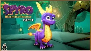 Lizards, Bling Bling and Balloonists?! - Spyro Reignited Trilogy (Part 1)|DS386Live|