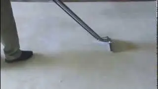 Area rugs cleaned