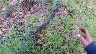 Sistema de riego por goteo ideal para huertas y Frutales