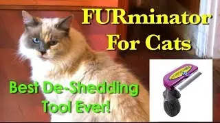 FURminator For Cats - BEST De-shedding tool EVER!