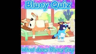 Bluey Quiz Pool #youtubershort #share #youtube2023 #bluey #subscribetomyyoutubechannel #trending