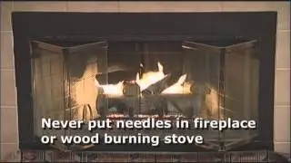 Holiday home safety