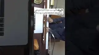 Mozart: Symphony #39 mvmt. I Adagio: Piano accompaniment to violin excerpt