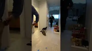 Party popper prank