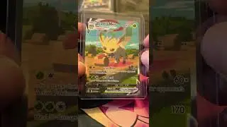 Yo check this out #pokemon #evolvingskies #altart #leafeon #vmax