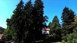 Cinematic Drohne Film Shot Weiher Niederw&uuml;rzbach (Blieskastel Saarland)