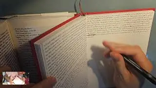 Copying Ulysses by hand. Wandering Rocks, pages 324-328