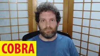 Cobra - Zôhar Diário - Chaiê Sara - 15/11