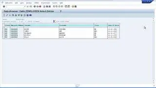11 Beginners Guide   Learn SAP ABAP   View the Data In Your Table Using ABAP Workbench Tools