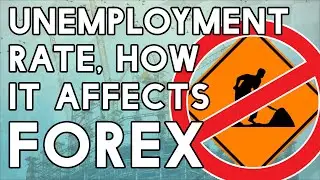 Forex Fundamentals! How Unemployment Rate Affects The Market!