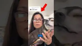 Warning: Do NOT Click the Sound 🔥