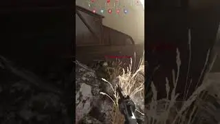Call Of Booty