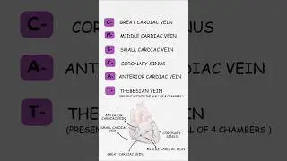 &ldquo;Venous drainage of heart made EASY ❤️ One mnemonic = perfect recall 🧠🔥&rdquo;