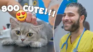 МИЛАЯ И ЗЛАЯ! (Она расслабилась после массажа!)