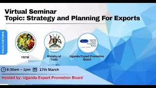 Virtual Export Readiness | Strategy & Planning for Exports