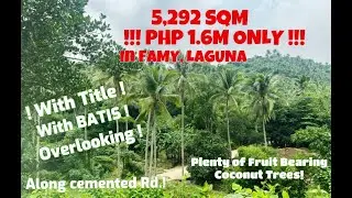 (PROPERTY#85)  5,292 SQM FARM FOR SALE IN LAGUNA - PHP 1.6M ONLY- WITH TITLE !!!