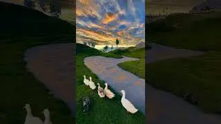 Amazing Nature 🌿🌿#nature #aestheic #youtubeshorts #music #peaceful #popular #foryou #shorts #calm